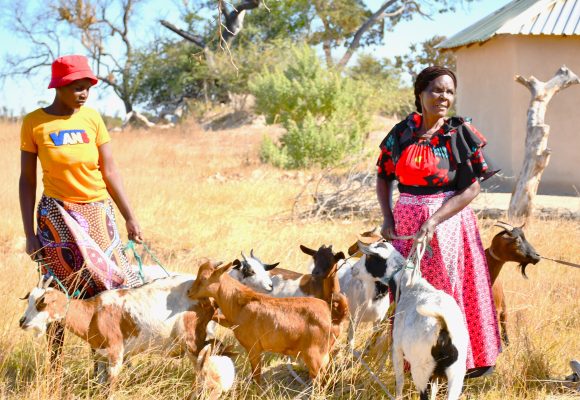 Empowered Women, Empowered Communities: The Tamuka group Story