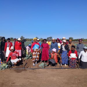 article phooto From Bare Ground to Blooming Hope: Johanna Mafuyana Garden Transforms Umguza Ward 19