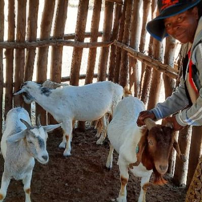 From Savings to Strength – The Women of No Worry