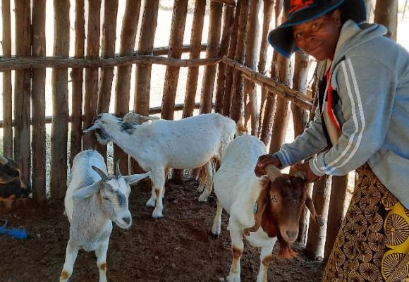 image00012 From Savings to Strength – The Women of No Worry