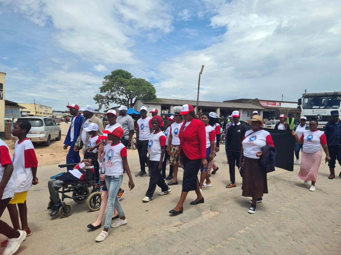 A Community United: Championing Disability Inclusion in Hwedza